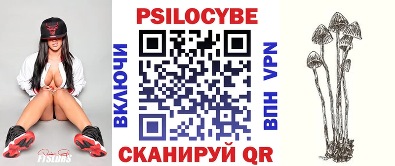 где найти наркотики  Выборг  MEGA зеркало  Псилоцибиновые грибы мицелий 